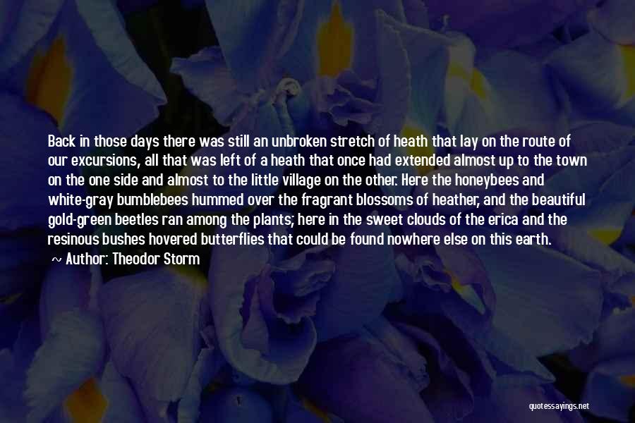 Beautiful Nature Quotes By Theodor Storm