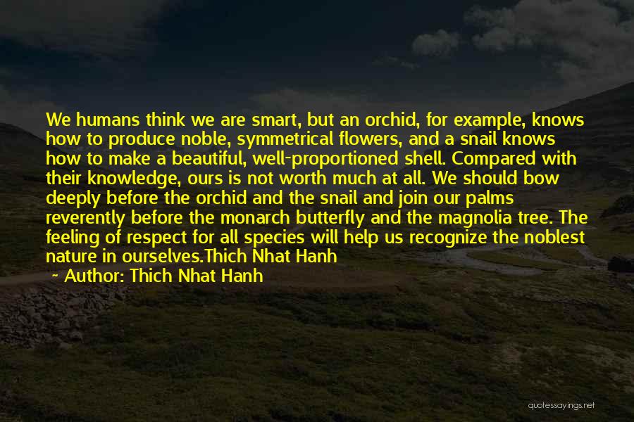 Beautiful Nature Quotes By Thich Nhat Hanh