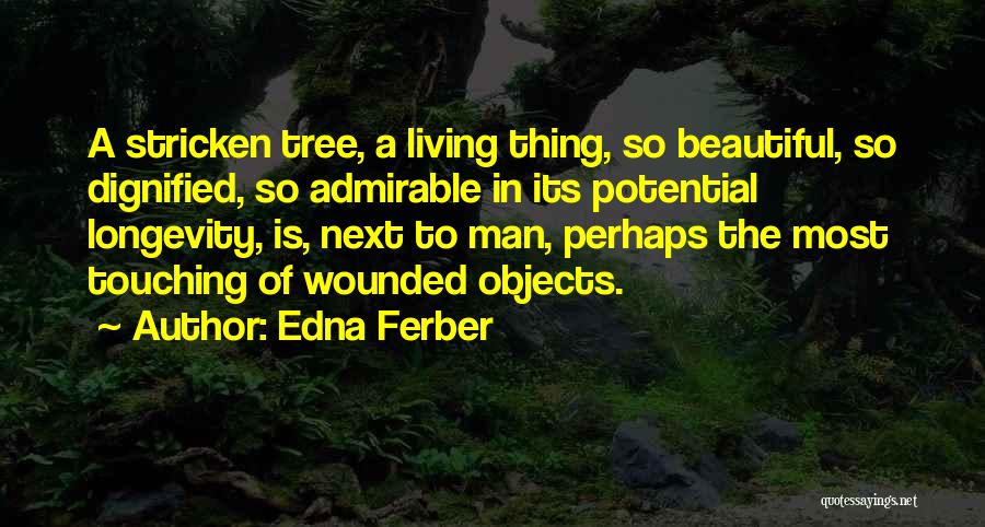 Beautiful Objects Quotes By Edna Ferber