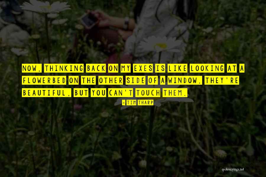 Beautiful One Tim Quotes By Tim Tharp Beautiful One Tim Quotes By Tim Tharp
