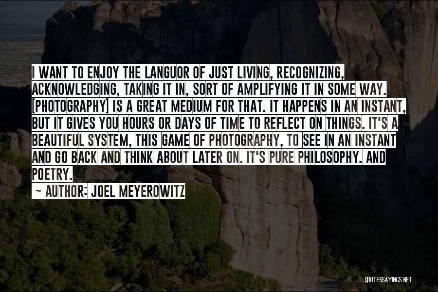 Beautiful Past Days Quotes By Joel Meyerowitz