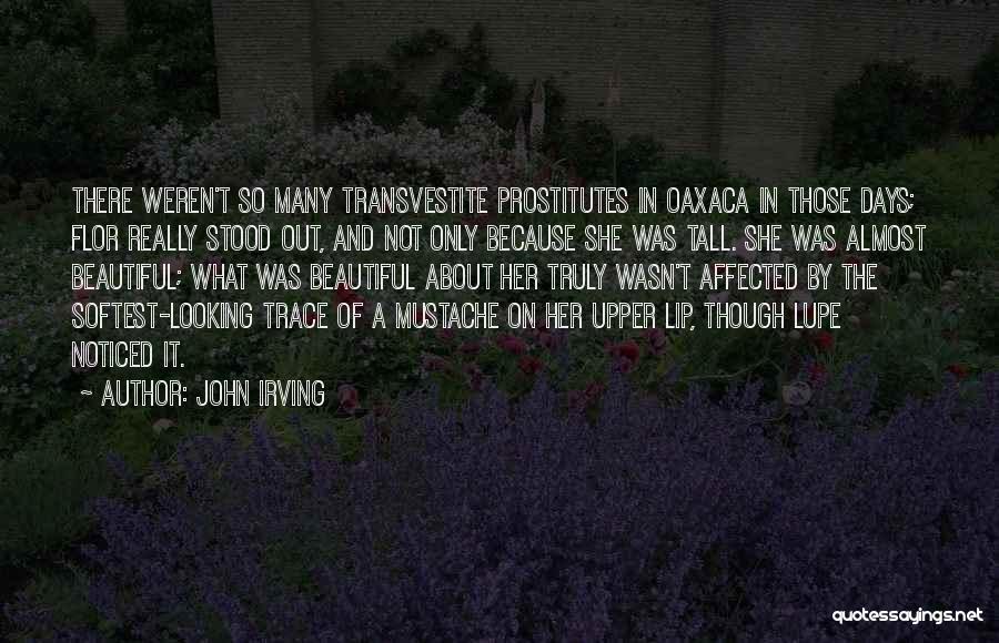 Beautiful Past Days Quotes By John Irving