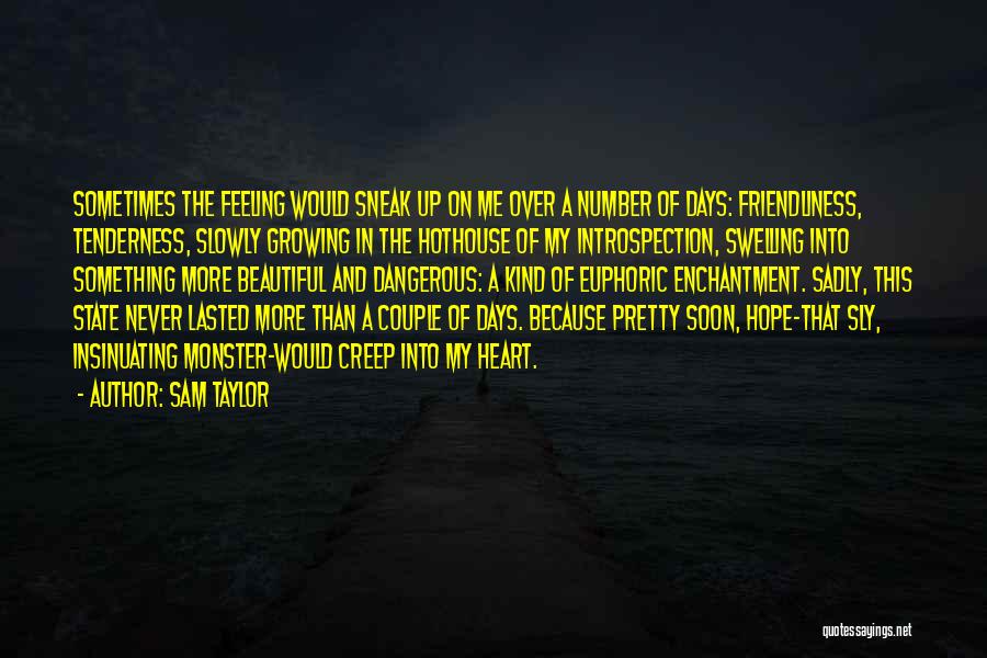 Beautiful Past Days Quotes By Sam Taylor