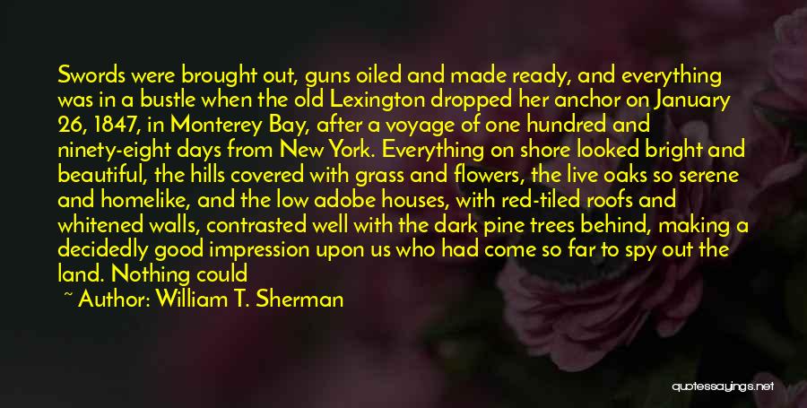 Beautiful Past Days Quotes By William T. Sherman