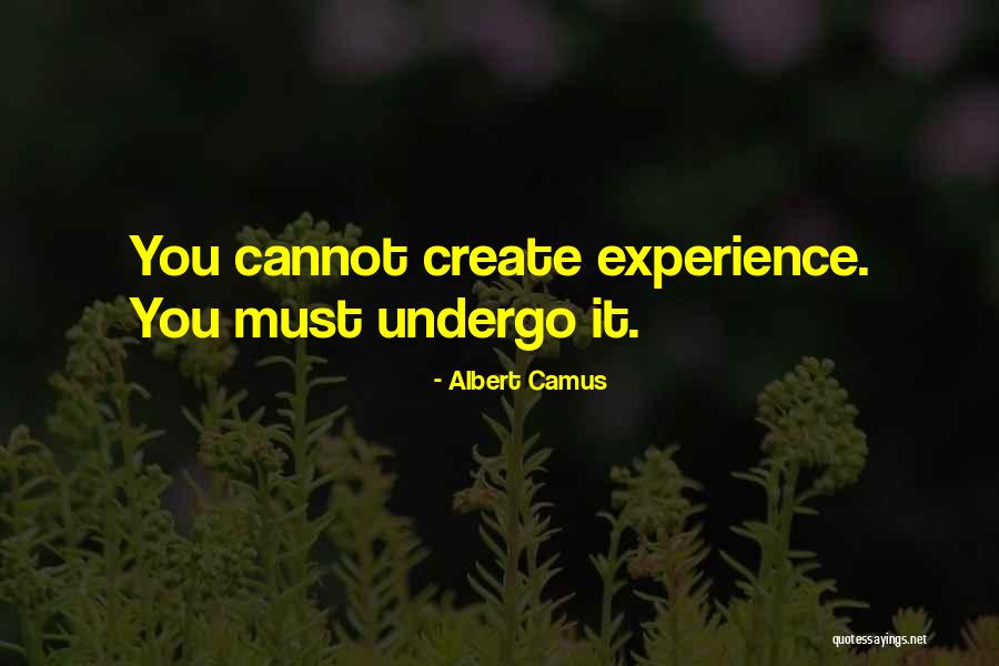 Beautiful Pic Comment Quotes By Albert Camus Beautiful Pic Comment Quotes By Albert Camus