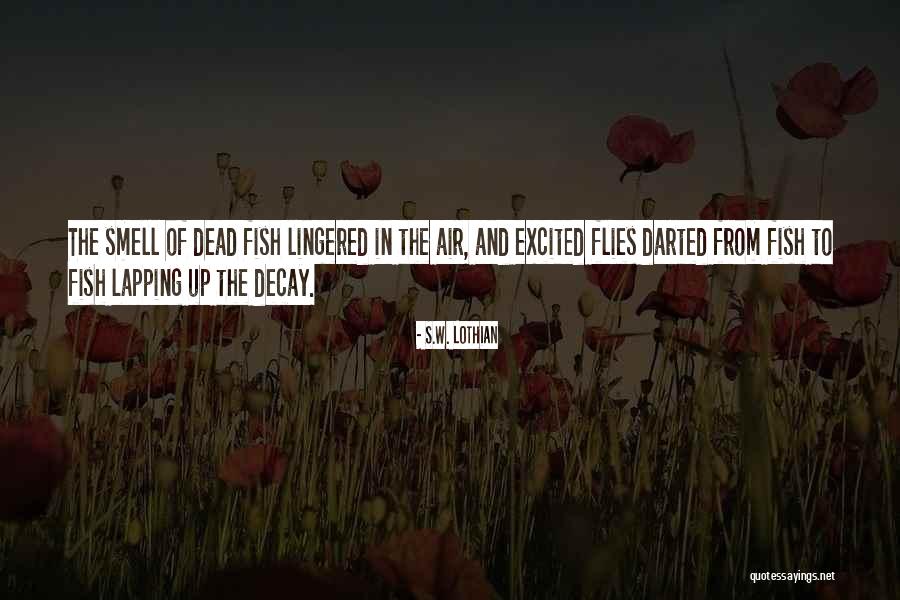 Beautiful Pic Comment Quotes By S.W. Lothian Beautiful Pic Comment Quotes By S.W. Lothian