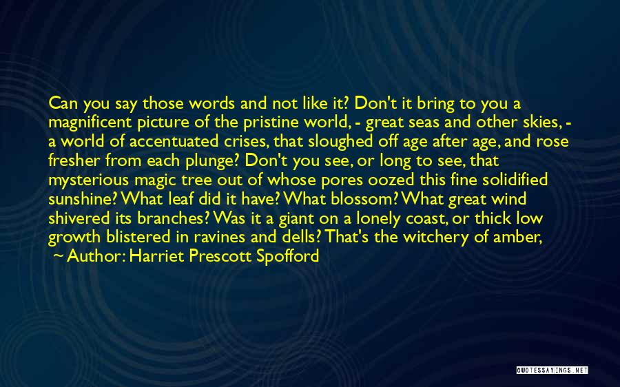 Beautiful Picture Quotes By Harriet Prescott Spofford Beautiful Picture Quotes By Harriet Prescott Spofford