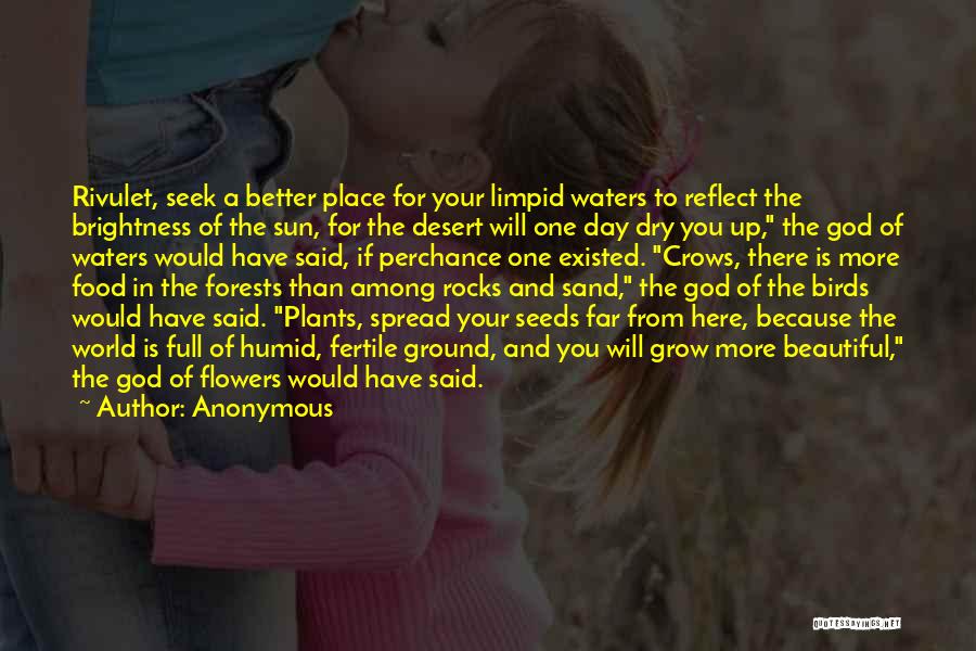 Beautiful Place Quotes By Anonymous