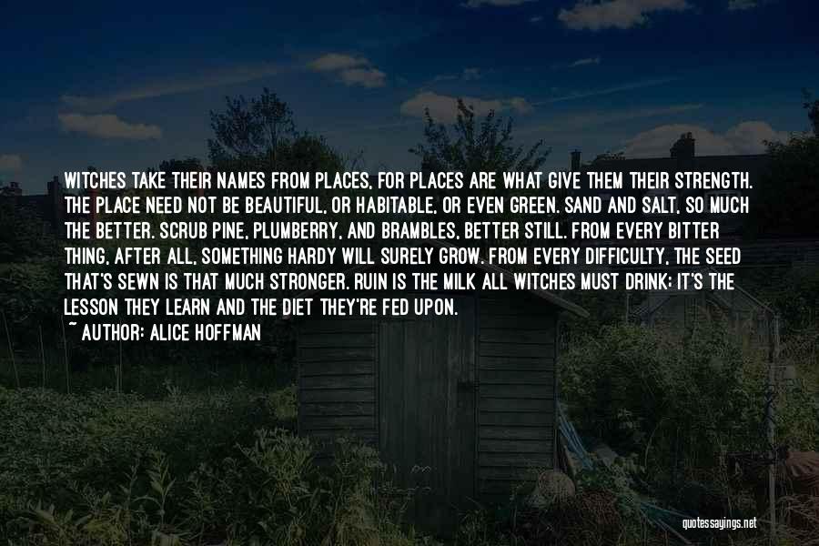 Beautiful Places And Quotes By Alice Hoffman
