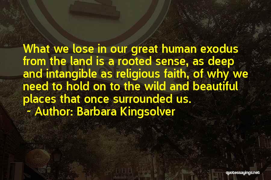 Beautiful Places And Quotes By Barbara Kingsolver