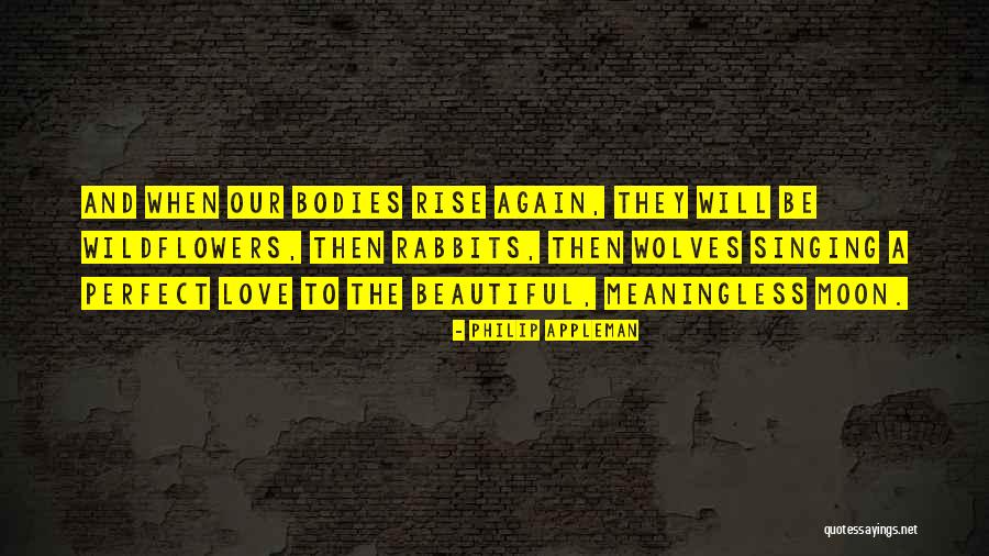 Beautiful Poetry Quotes By Philip Appleman Beautiful Poetry Quotes By Philip Appleman