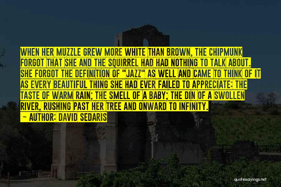 Beautiful Rain Quotes By David Sedaris