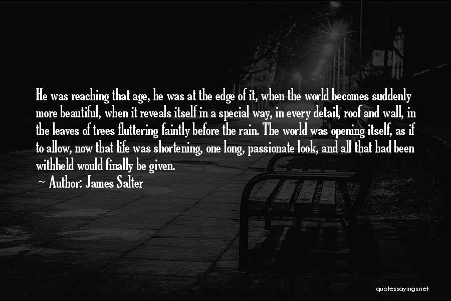 Beautiful Rain Quotes By James Salter