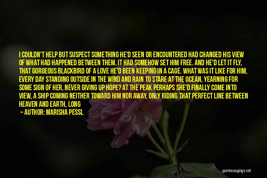 Beautiful Rain Quotes By Marisha Pessl