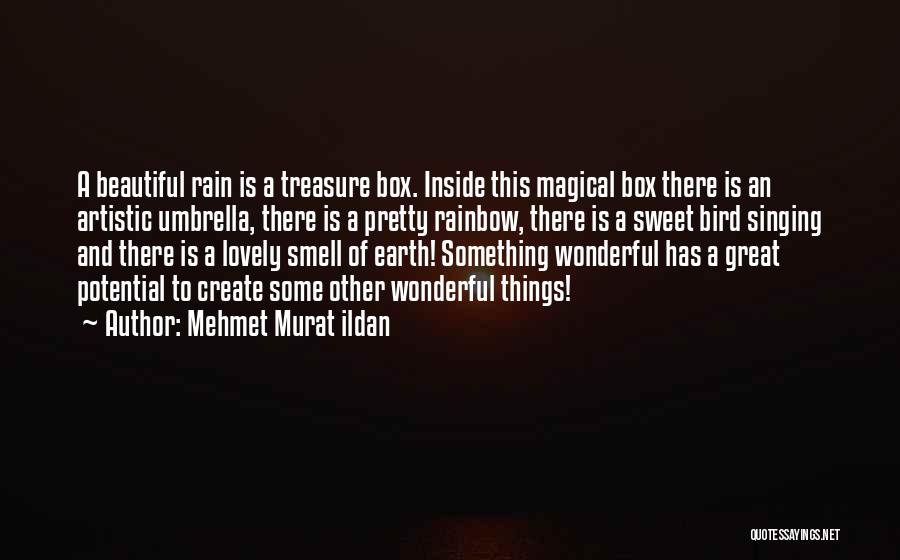 Beautiful Rain Quotes By Mehmet Murat Ildan
