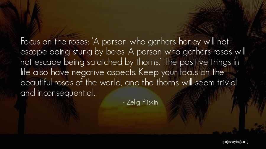 Beautiful Roses And Quotes By Zelig Pliskin Beautiful Roses And Quotes By Zelig Pliskin