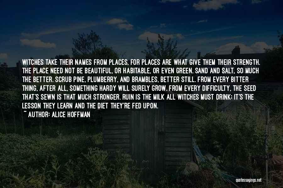 Beautiful Ruin Quotes By Alice Hoffman