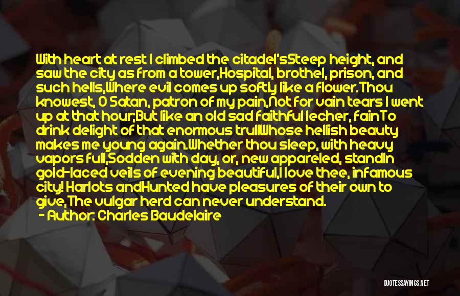 Beautiful Sad Quotes By Charles Baudelaire