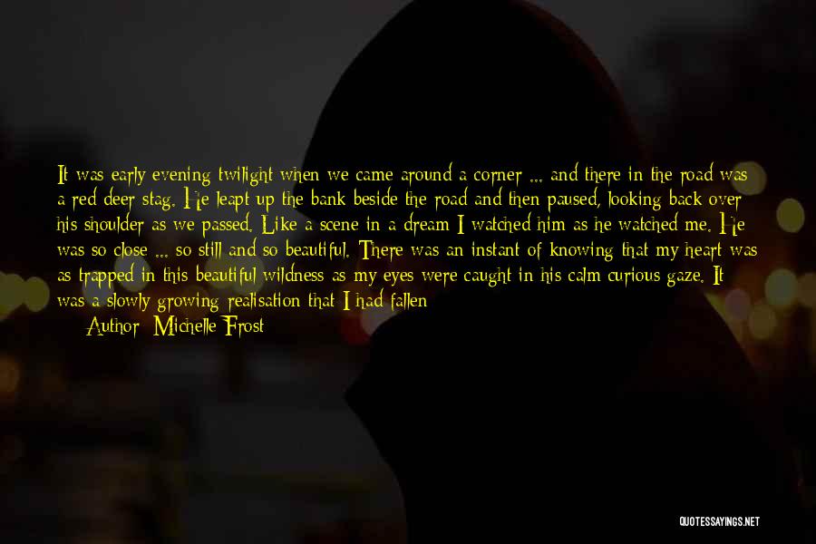 Beautiful Scene Quotes By Michelle Frost