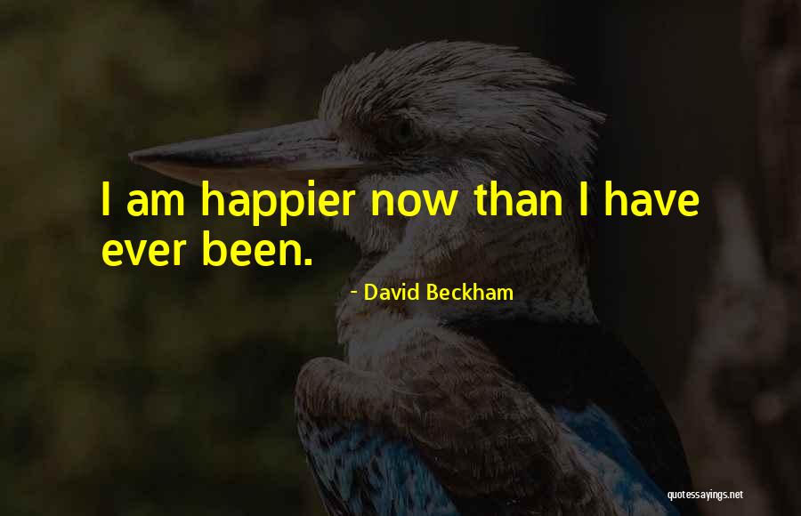 Beautiful Seclusion Quotes By David Beckham Beautiful Seclusion Quotes By David Beckham