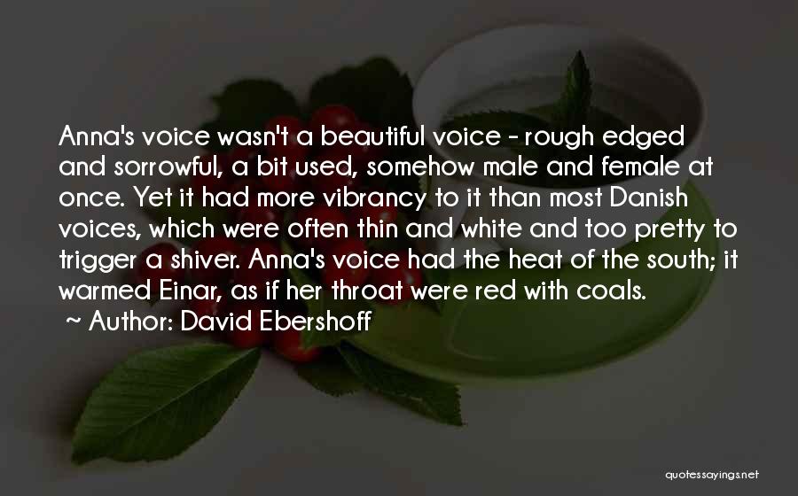 Beautiful Singing Voices Quotes By David Ebershoff