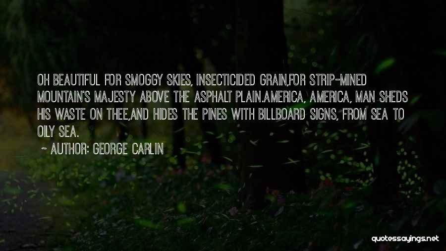 Beautiful Skies Quotes By George Carlin