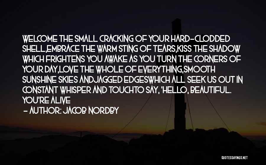 Beautiful Skies Quotes By Jacob Nordby