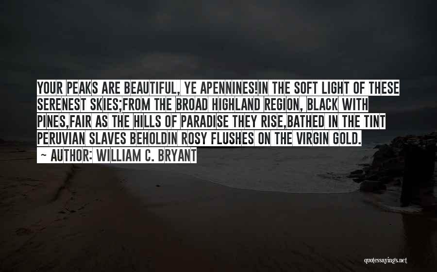 Beautiful Skies Quotes By William C. Bryant