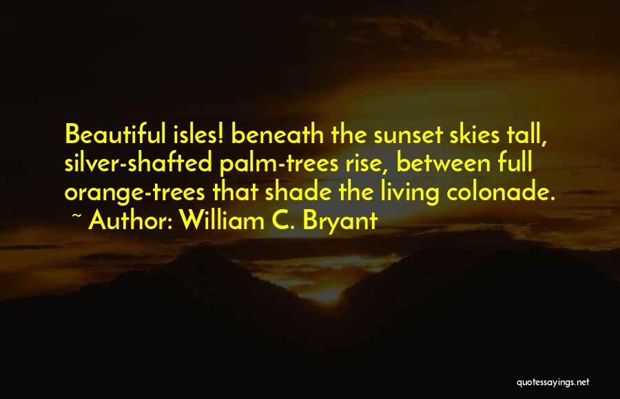 Beautiful Skies Quotes By William C. Bryant
