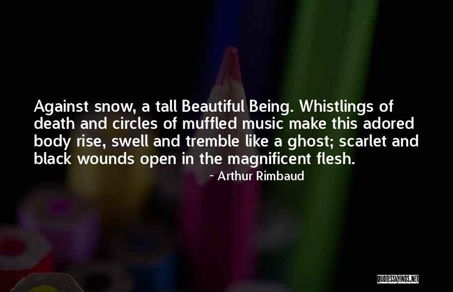 Beautiful Snow Quotes By Arthur Rimbaud Beautiful Snow Quotes By Arthur Rimbaud