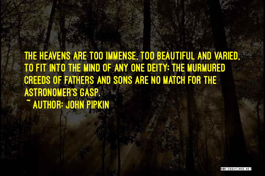 Beautiful Sons Quotes By John Pipkin