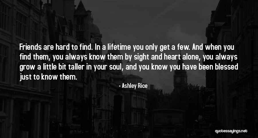 Beautiful Soul Love Quotes By Ashley Rice