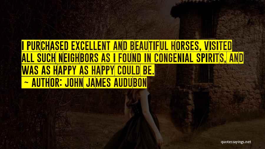 Beautiful Spirits Quotes By John James Audubon