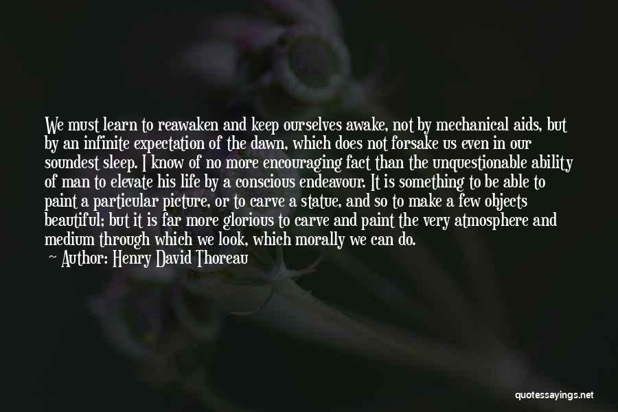 Beautiful Statue Quotes By Henry David Thoreau