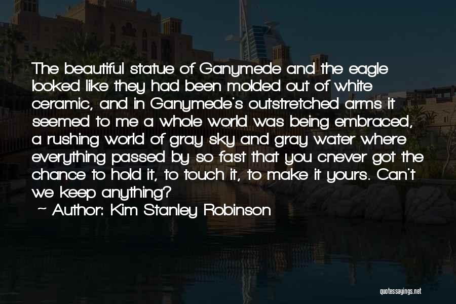 Beautiful Statue Quotes By Kim Stanley Robinson