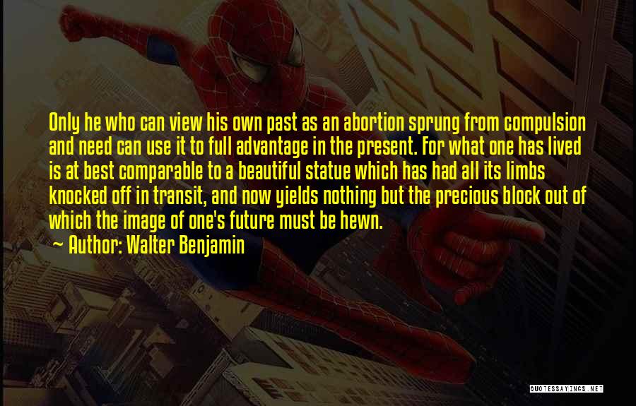 Beautiful Statue Quotes By Walter Benjamin