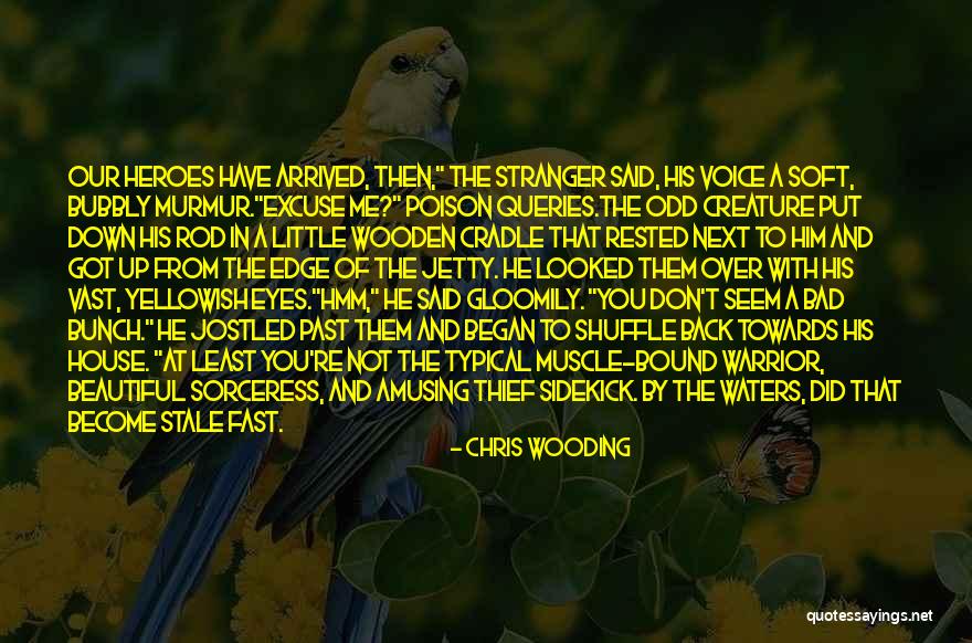 Beautiful Stranger Quotes By Chris Wooding Beautiful Stranger Quotes By Chris Wooding