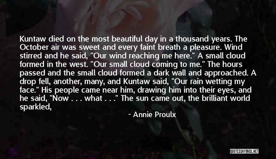 Beautiful Sunlight Quotes By Annie Proulx