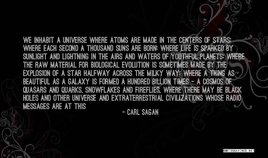 Beautiful Sunlight Quotes By Carl Sagan