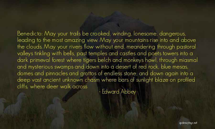 Beautiful Sunlight Quotes By Edward Abbey