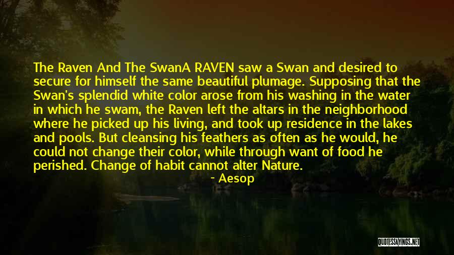 Beautiful Swan Quotes By Aesop Beautiful Swan Quotes By Aesop