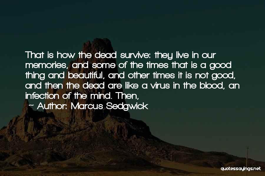 Beautiful Thing Quotes By Marcus Sedgwick