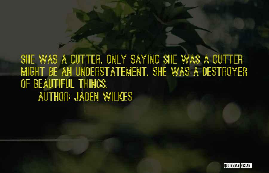 Beautiful Things Quotes By Jaden Wilkes