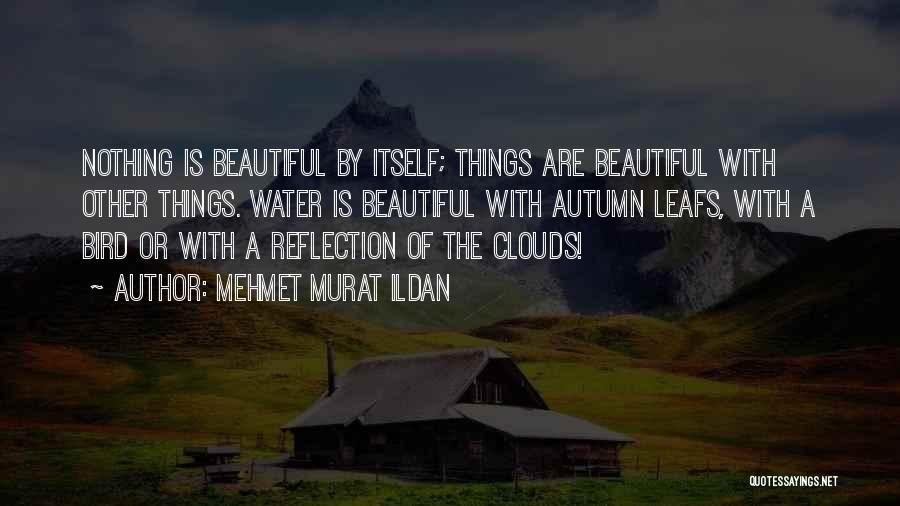 Beautiful Things Quotes By Mehmet Murat Ildan