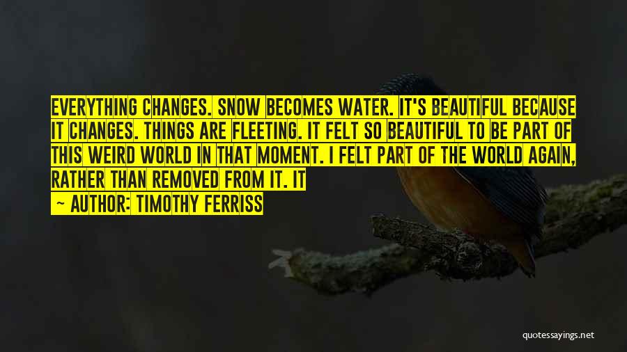 Beautiful Things Quotes By Timothy Ferriss