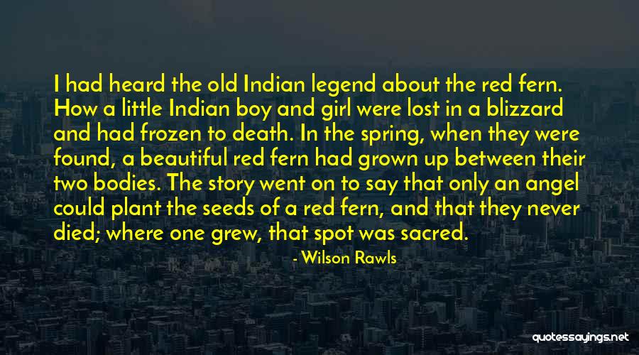 Beautiful Things To Say To A Girl Quotes By Wilson Rawls Beautiful Things To Say To A Girl Quotes By Wilson Rawls