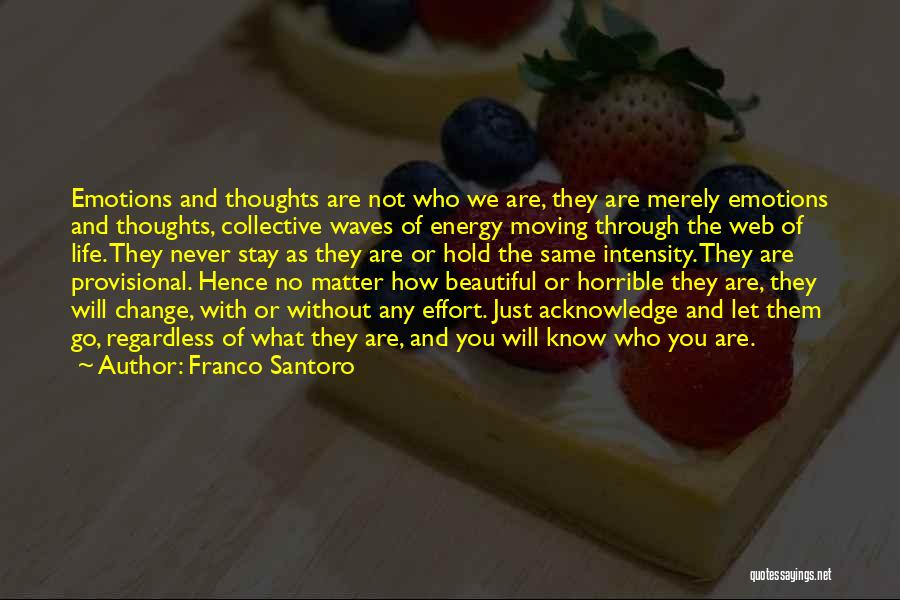 Beautiful Thoughts Or Quotes By Franco Santoro