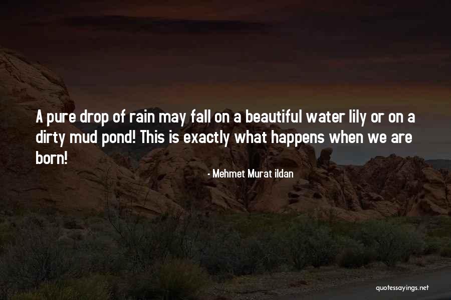 Beautiful Water Lily Quotes By Mehmet Murat Ildan Beautiful Water Lily Quotes By Mehmet Murat Ildan