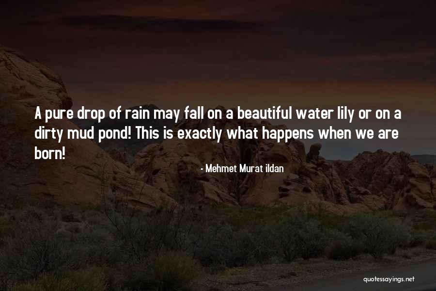 Beautiful Water Lily Quotes By Mehmet Murat Ildan