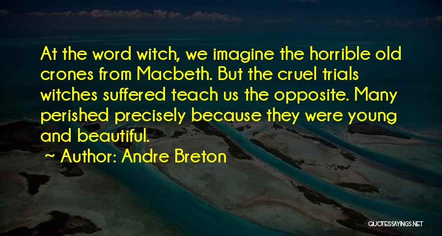 Beautiful Witch Quotes By Andre Breton